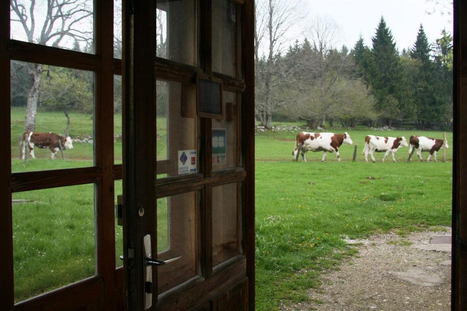 Auberge De La Perdrix Hauterive-la-Fresse Exterior photo
