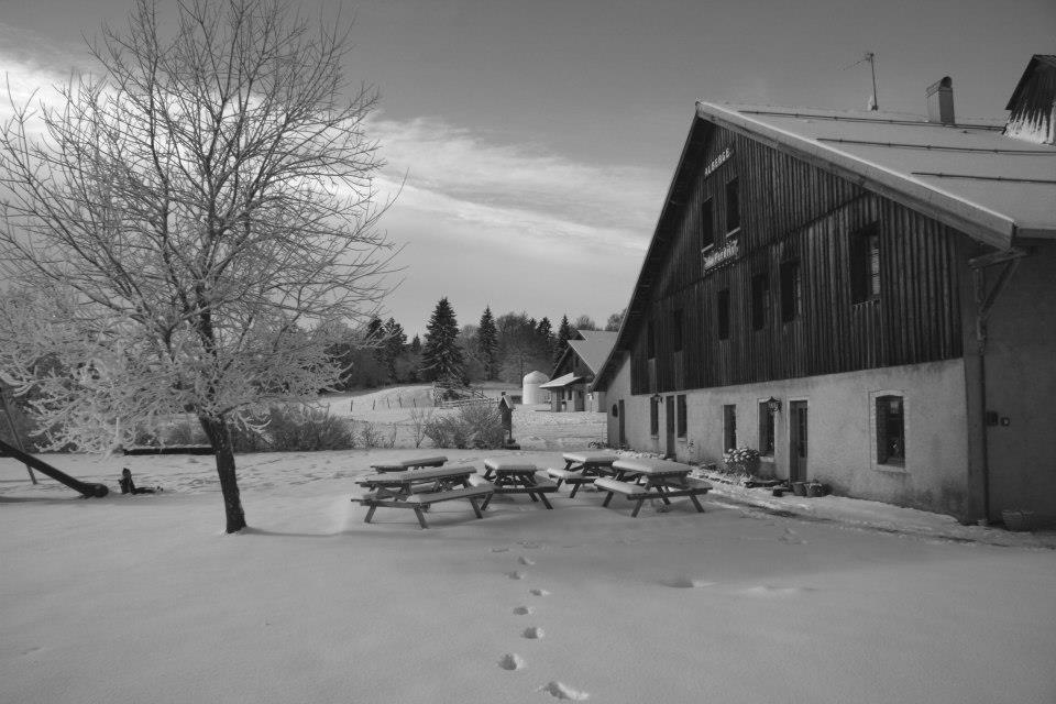 Auberge De La Perdrix Hauterive-la-Fresse Exterior photo